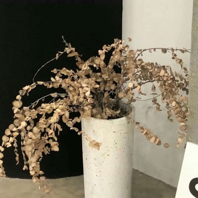 Furry绘画细节处理福瑞交流群